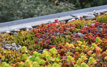 the cost of Suffolk green roof installation