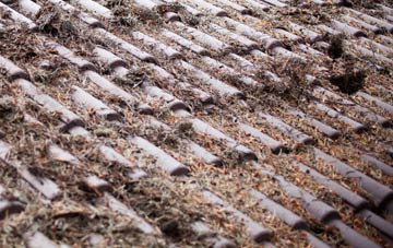 Suffolk roof cleaning companies